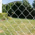 PVC Coated Chain Link Fencing High Quality Galvanized/PVC Chain Link Fence Supplier